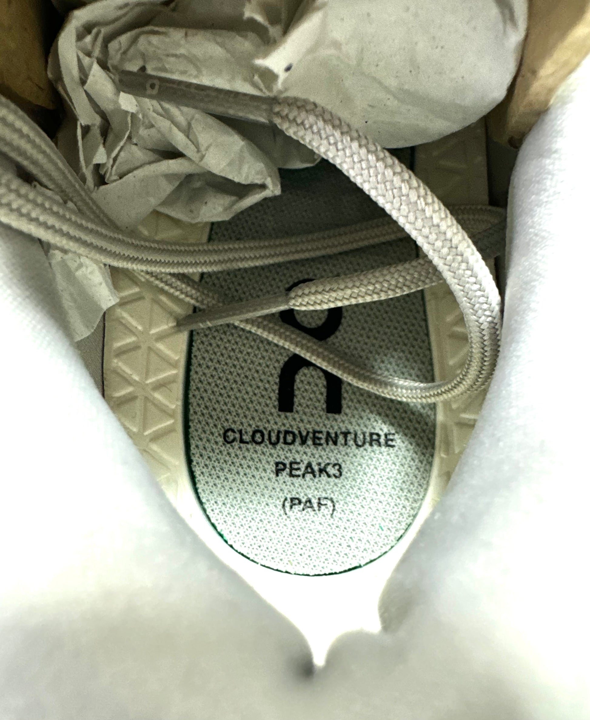 Post Archive Faction X AN CloundVenture Peak3