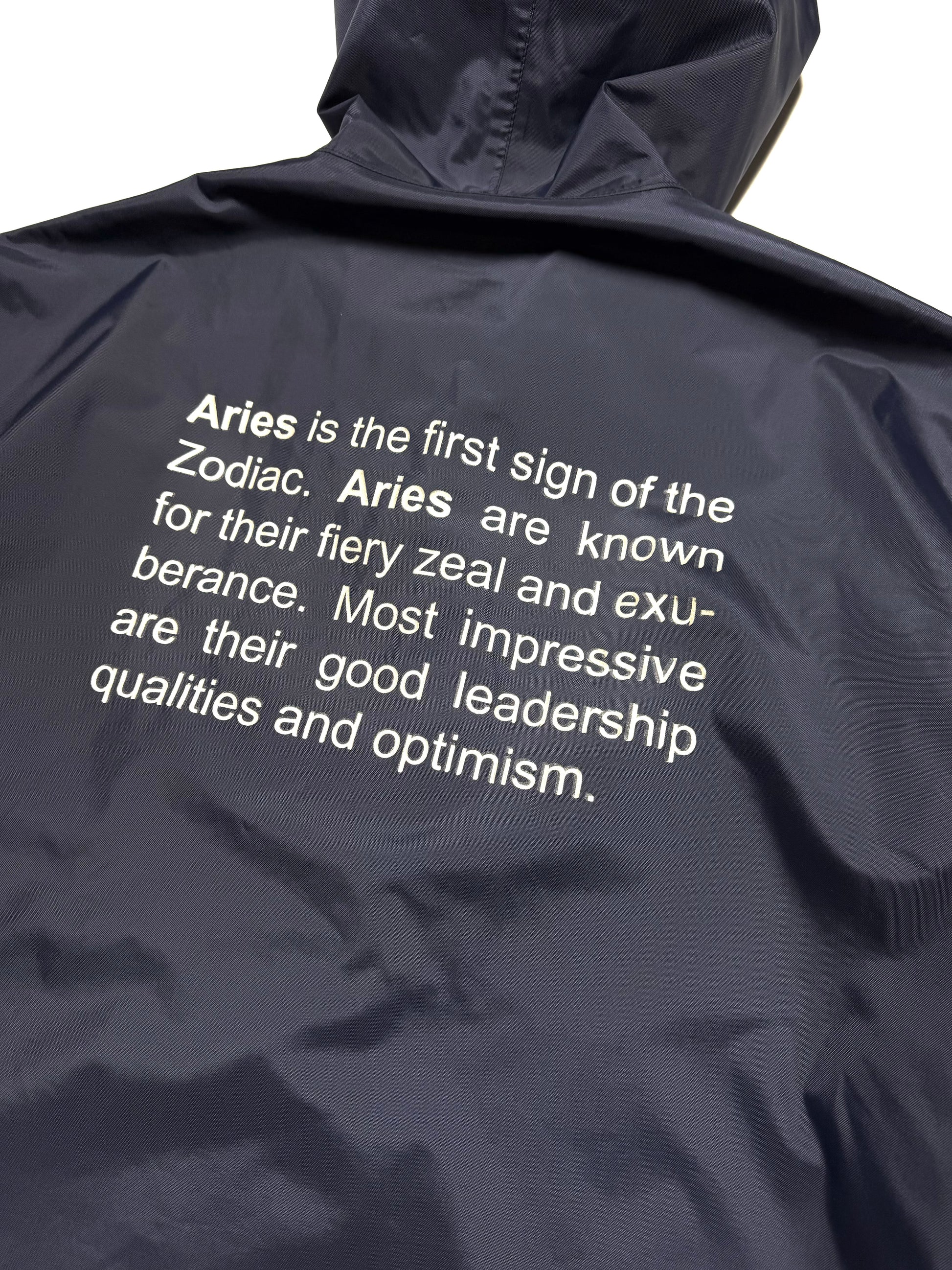 Vetements Aries Coat 2018