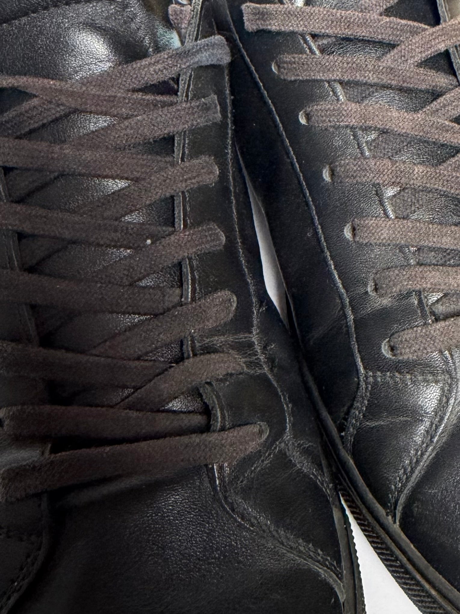 SAINT LAURENT Andy Sneakers