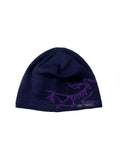ARC’TERYX 00s Purple Beanie