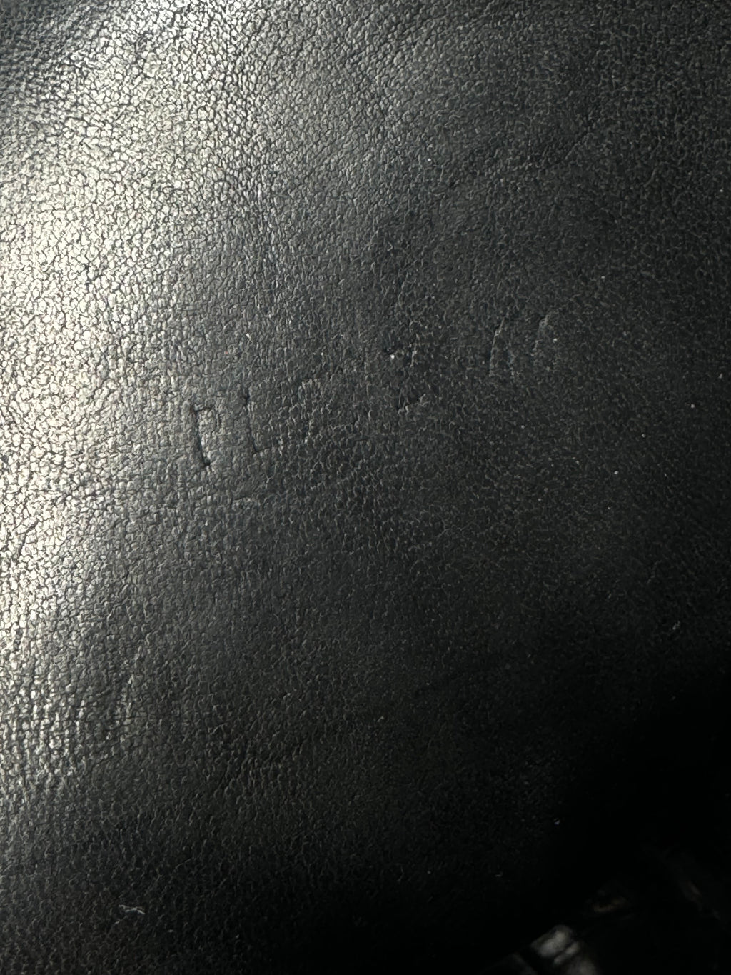 Guidi PL2 Horse Leather Boot