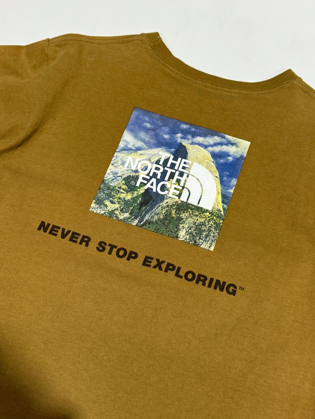 The North Face Brown JP Exclusive Tee