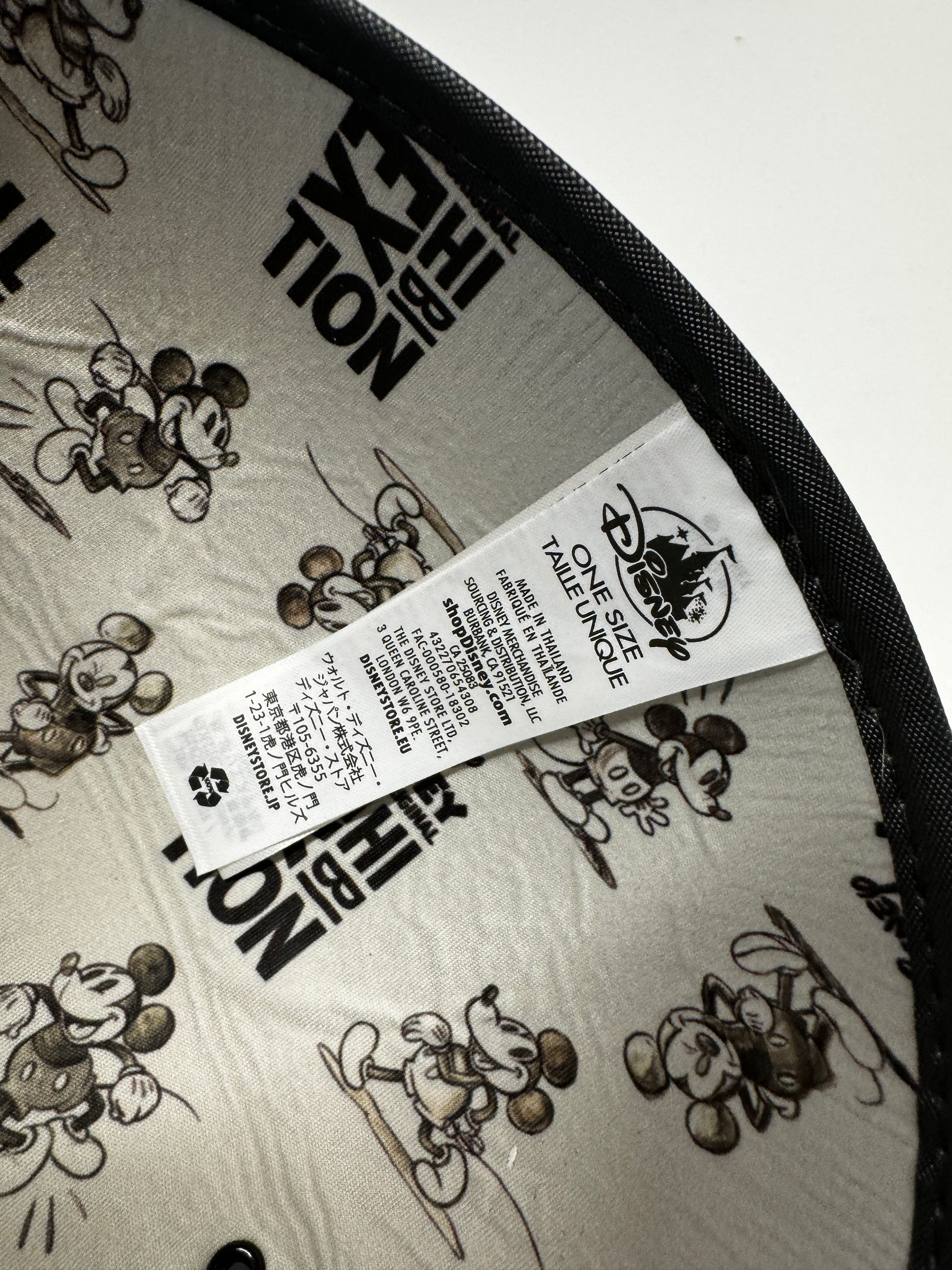 Mickey Mouse Disney Hat