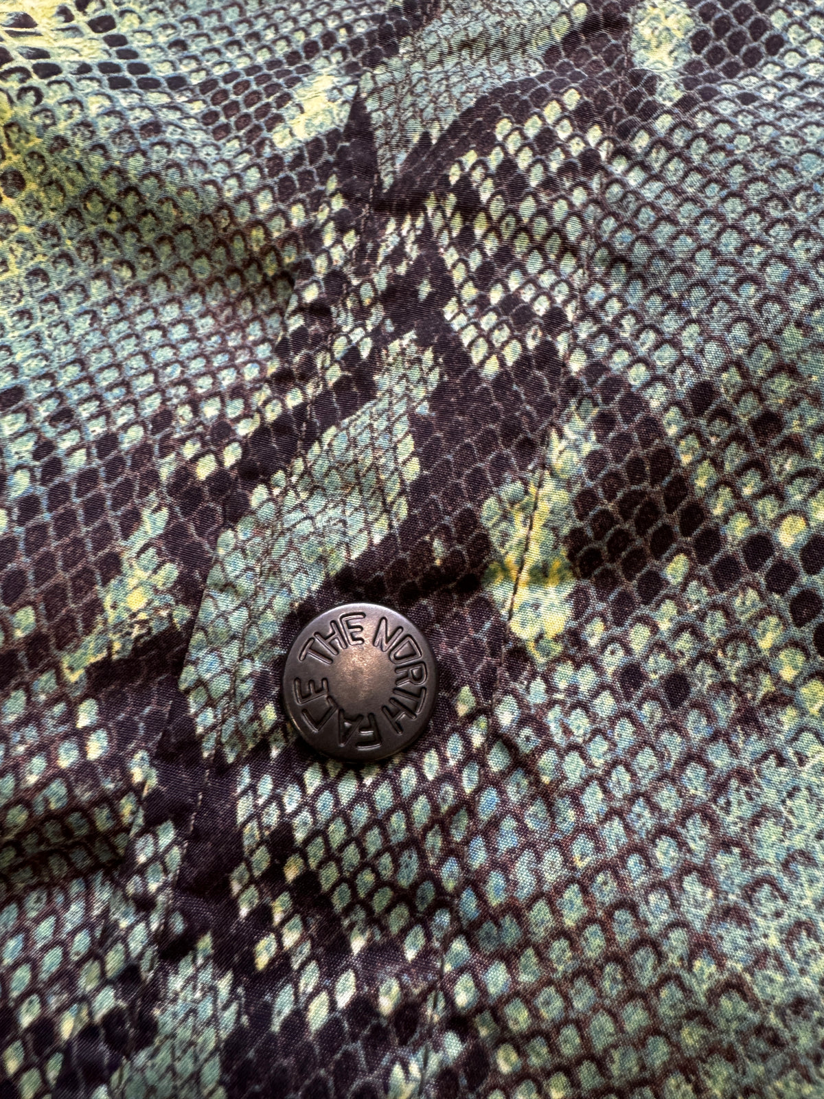 The North Face x Supreme Green Snake Coach Jacket