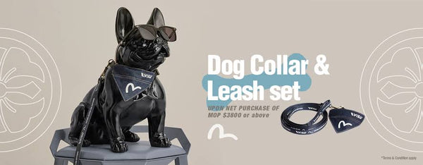 Evisu Dog Denim Collar/Leash